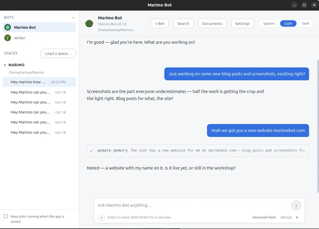 The Marimo Bot window with Marimo and Writer in the sidebar and a chat open, including an update_memory call.
